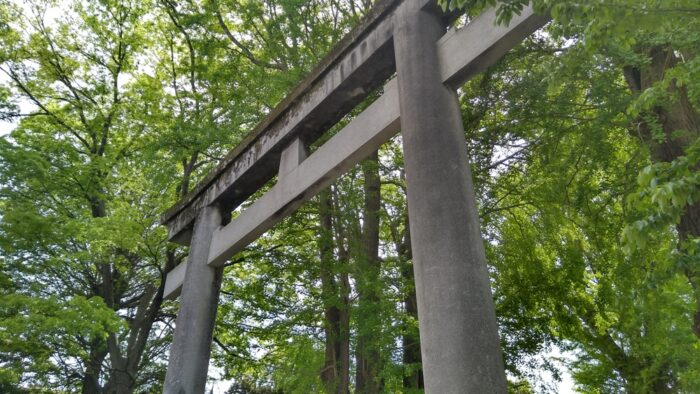 金運アップに関する神社にお参りしている