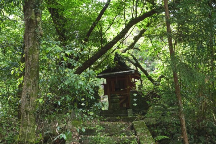 お参りしてはいけない神社とは？行っちゃいけないパワースポットの特徴！