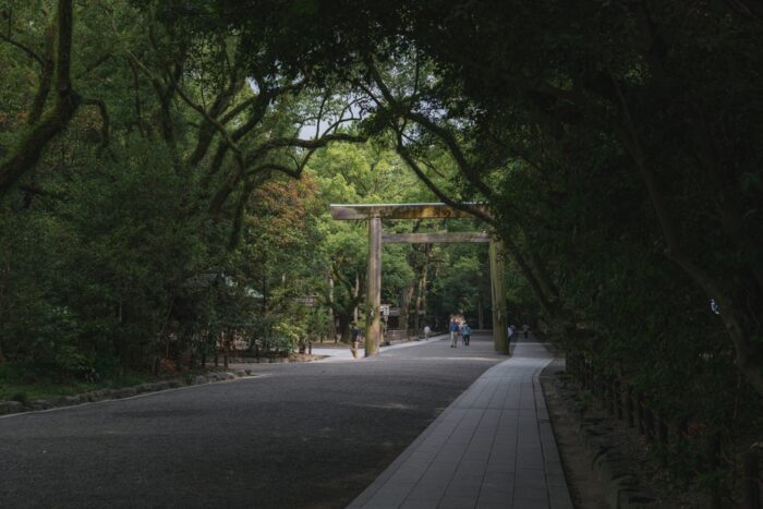 トンボを神社で見かけるスピリチュアルな知らせ