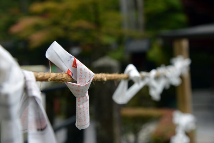 小網神社でおすすめのその他の授与品やおみくじ