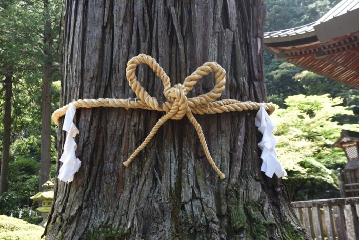 玉置神社の御祭神