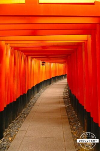 スピリチュアルなパワーの強い神社の画像