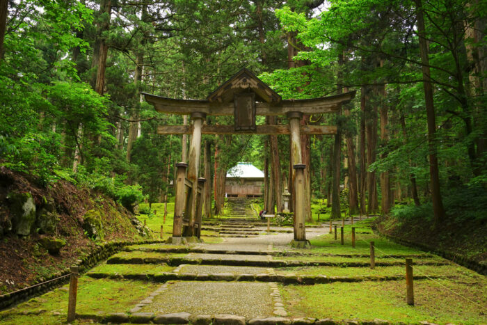 白山ひめ神社が怖い理由⑥：系列の白山神社に怖い噂がある