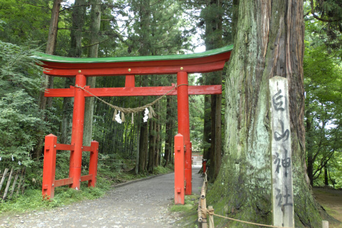 白山神社は日本全国にある白山信仰の神社