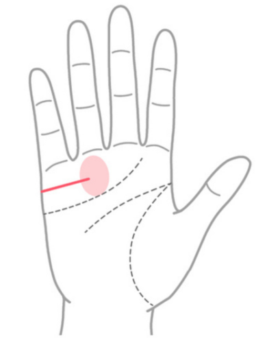 晩年幸せになる手相⑦：晩婚線が長い