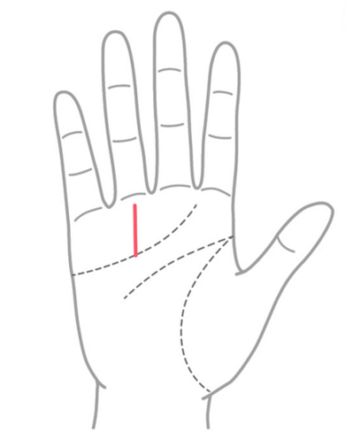 晩年お金に困らない手相④：感情線の上から太陽線が出ている
