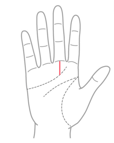 晩年幸せになる手相①：感情線の上から運命線が出ている