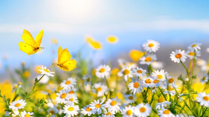 虫の夢は宝くじが当たる前兆って本当？虫が体につく夢や虫が出る夢の意味を解説！