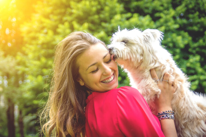 「白い犬にペロペロ舐められる夢」の意味 「白い犬にペロペロ舐められる夢」の意味